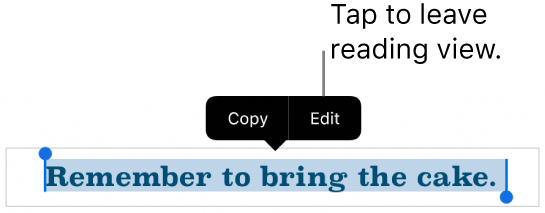 A sentence is selected, and above it is a contextual menu with Copy and Edit buttons.