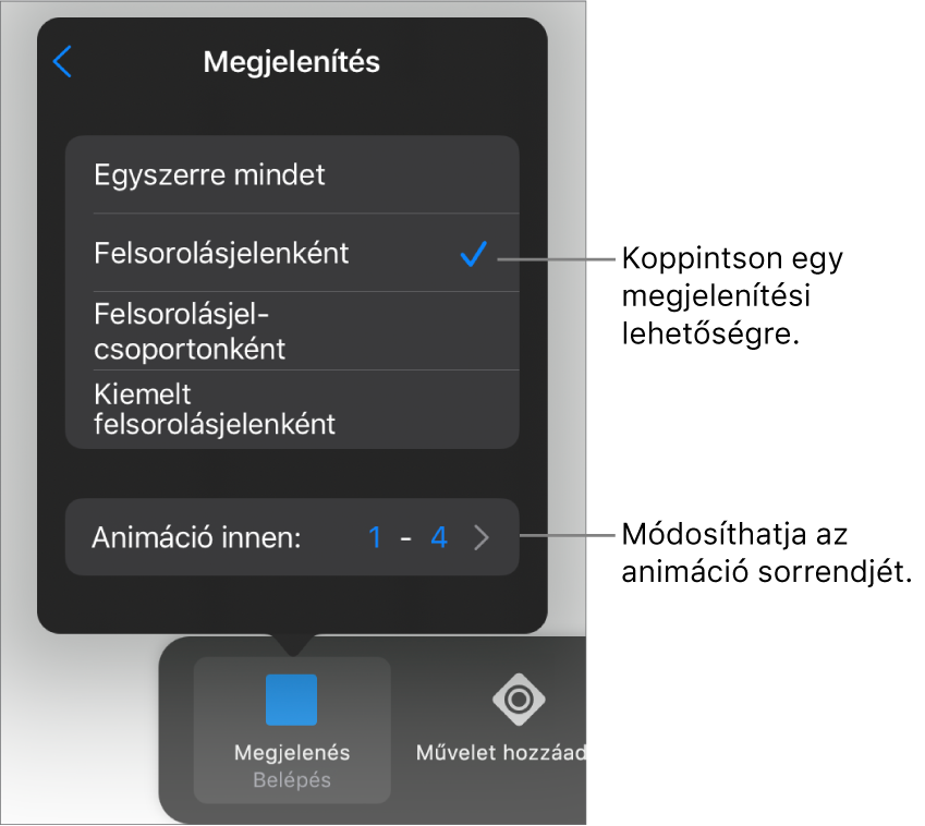 Végrehajtási beállítások a Belépés panelen.