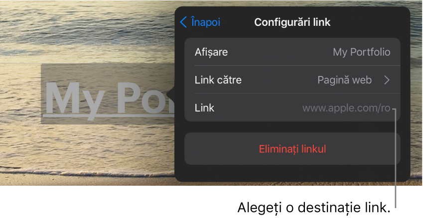 Comenzile din Configurări link cu câmpuri pentru Afișare, Link către (este selectată opțiunea Pagină web) și Link. În partea de jos se află butonul Eliminați linkul.