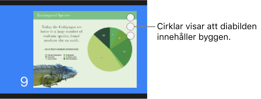 En diabild med tre cirklar i det övre högra hörnet, vilket visar att diabilden har byggen.