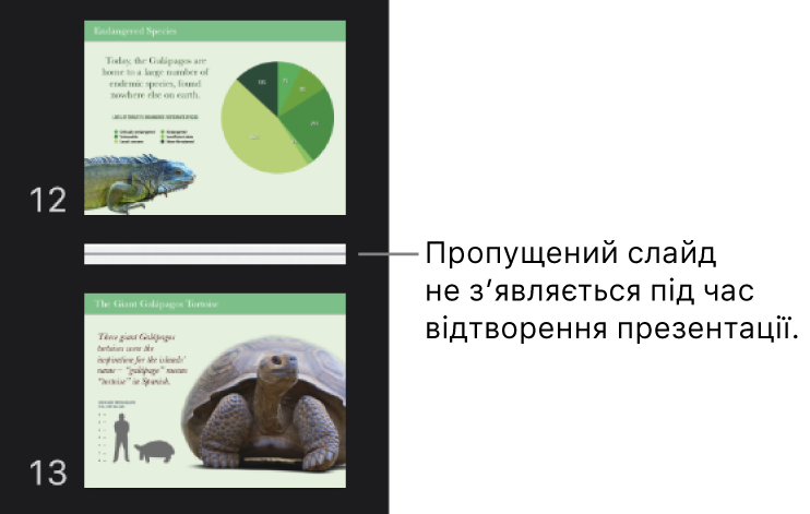 Навігатор слайдів із пропущеним слайдом у вигляді горизонтальної лінії.