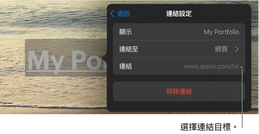 「連結設定」控制項目,其中的欄位有「顯示」、「連結至」(設為「網頁」)和「連結」。「移除連結」按鈕位於底部。