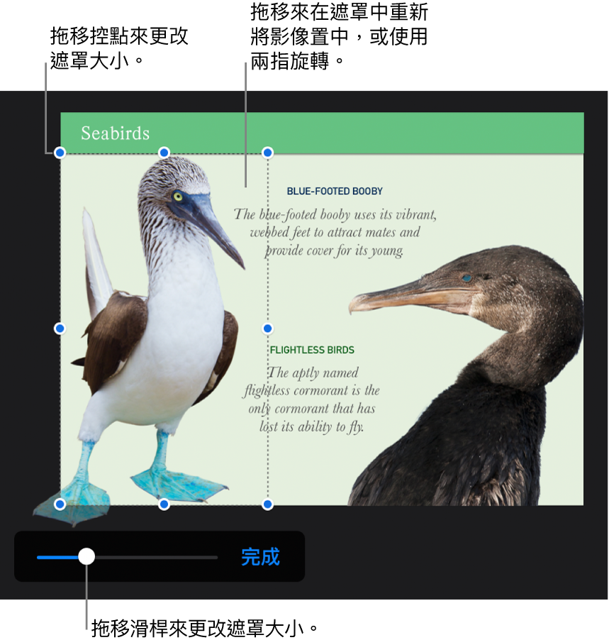 相片最下方的遮罩滑桿。