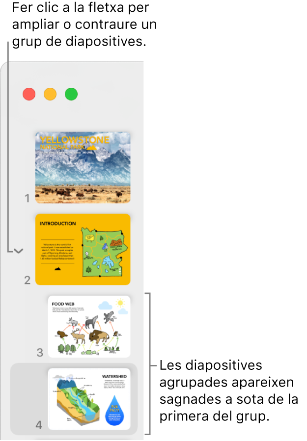 El navegador de diapositives amb diapositives sagnades.