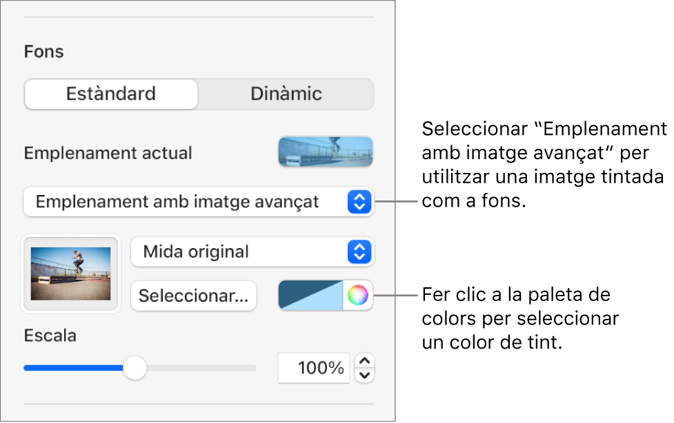 Els controls del fons i l'opció "Emplenament d'imatge avançat" per afegir un tint com a fons de diapositiva.