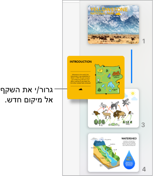 נווט השקפים מציג תמונה ממוזערת של שקפים שאורגנו מחדש עם קו משמאל.