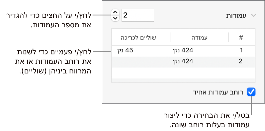 כלי בקרה במקטע העמודות לשינוי מספר העמודות והרוחב של כל עמודה.