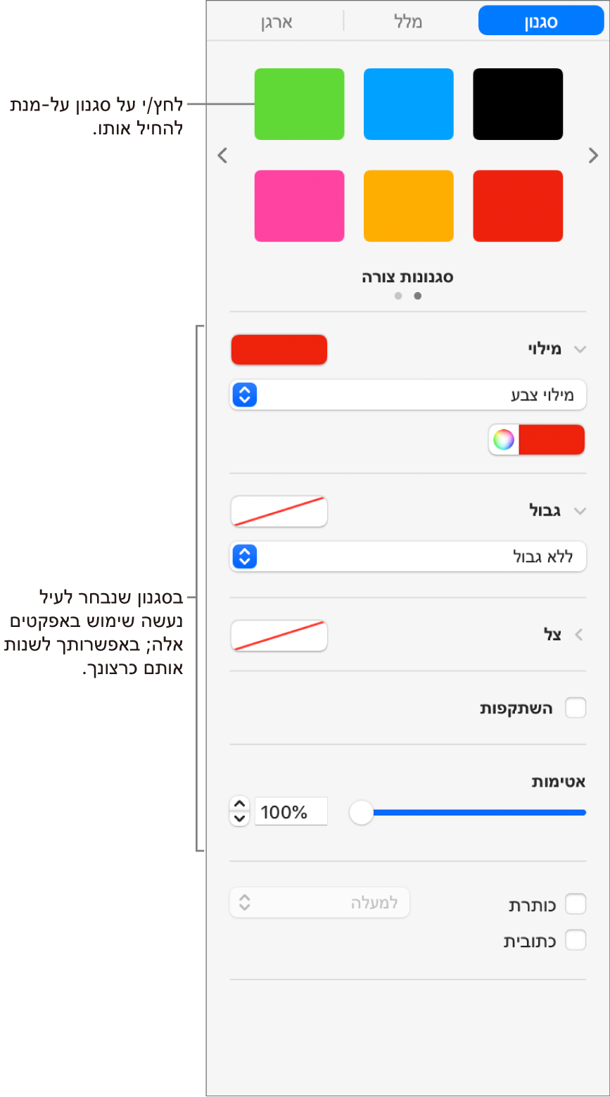 סגנונות ואפשרויות עבור צורות במקטע ״עיצוב״ בסרגל הצד.