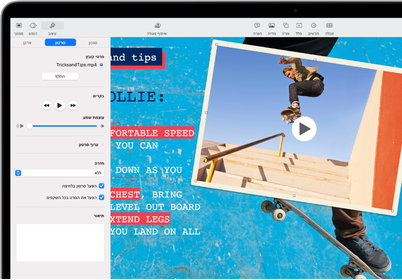כלי הבקרה של ״עיצוב״ בצד שמאל של המסך לשינוי הגודל והמראה של הסרט שנבחר הכפתורים ״סגנון״, ״סרט״ ו״ארגן״ ממוקמים מעל כלי הבקרה של ״עיצוב״.