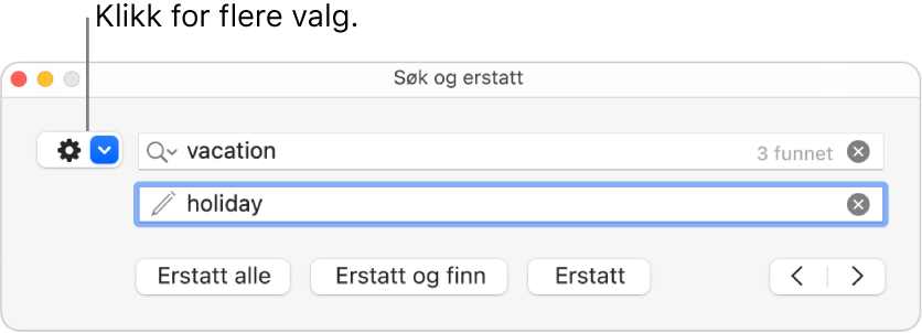Søk og erstatt-vinduet, med en forklaring for knappen for å vise flere valg.