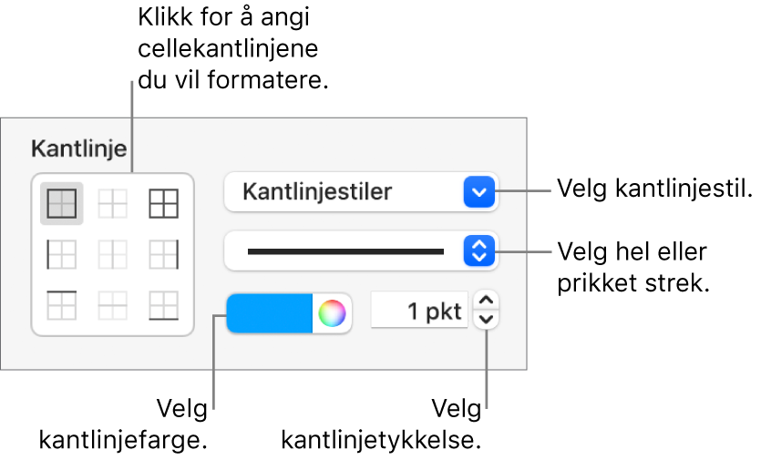 Kontrollene i sidepanelet for å endre utseendet på cellekantlinjene.