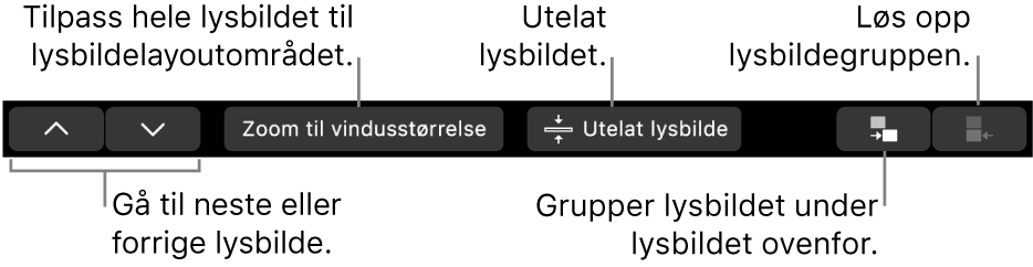 Touch Bar på MacBook Pro med kontroller for å navigere til neste eller forrige lysbilde, få plass til lysbildet i lysbildelayoutområdet, hoppe over et lysbilde og gruppere eller løse opp gruppering for et lysbilde.