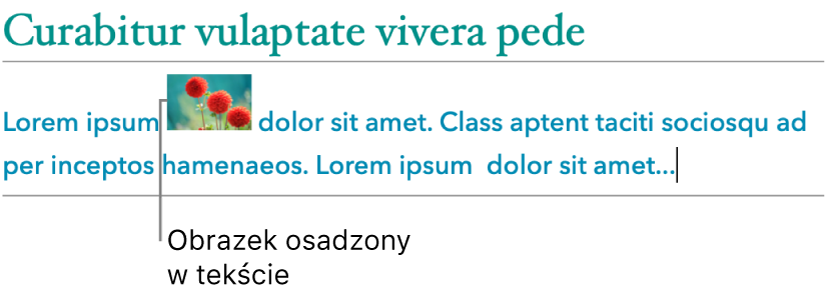 Obrazek osadzony w tekście.