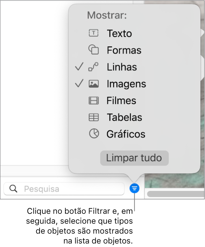 O menu pop-up Filtro aberto, com uma lista dos tipos de objetos que a lista pode incluir (texto, formas, linhas, imagens, filmes, tabelas e gráficos).