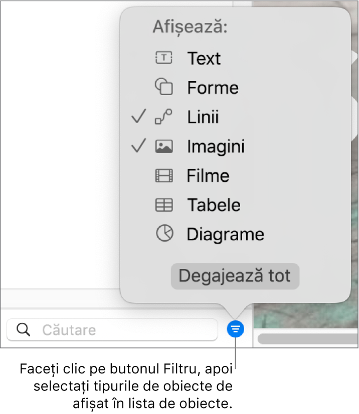 Meniul pop-up Filtrare deschis, cu o listă de tipuri de obiecte care pot fi incluse (text, forme, linii, imagini, filme, tabele și diagrame).