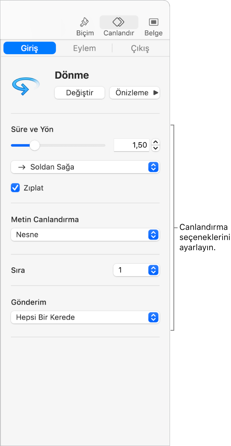 Kenar çubuğunun Canlandırma bölümündeki İçeride Oluştur seçenekleri.