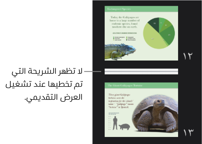 متصفح الشرائح مع شريحة مُتخطاة تظهر كخط أفقي.