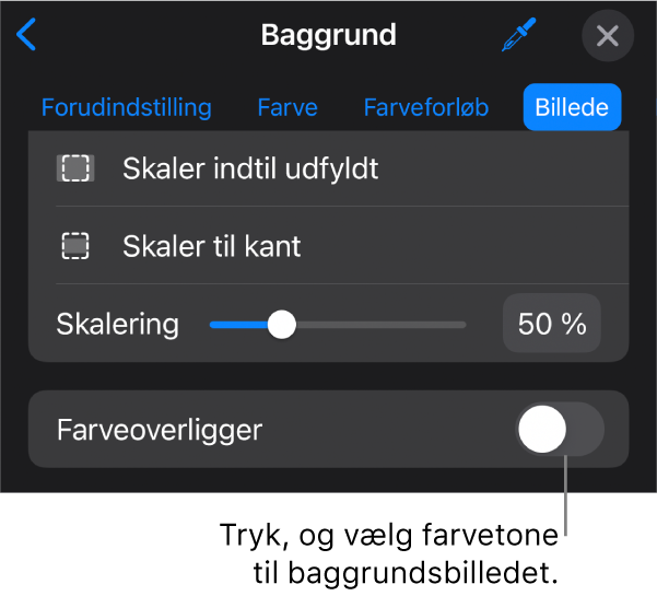 Betjeningsmulighederne til baggrund med et billede indstillet som lysbilledbaggrund og betjeningsmulighederne til Farveoverligger nederst.