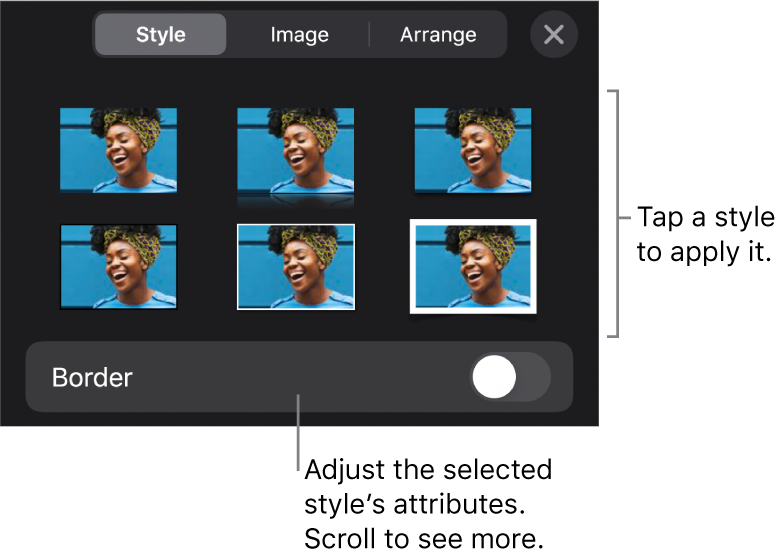 The Style tab of the Format menu with object styles at the top and a control below them to change the border.