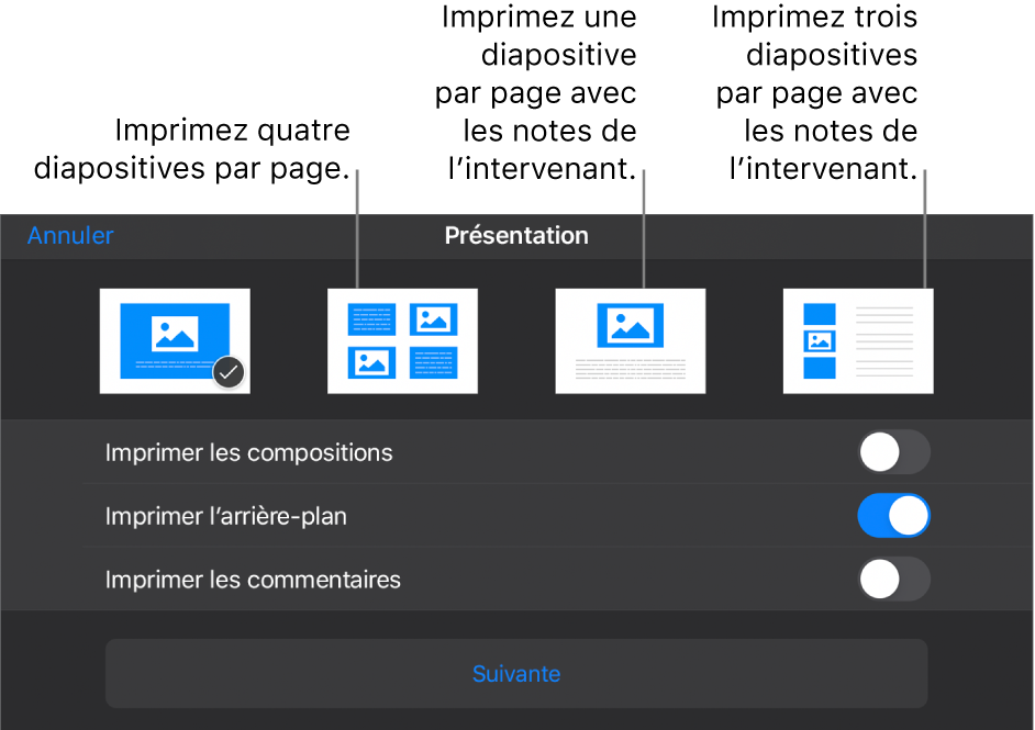 Options de disposition d’impression.