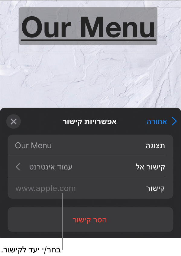 פקדי ״הגדרות קישור״ עם השדות ״הצג״, ״קישור אל״ (האפשרות ״עמוד אינטרנט״ נבחרת) ו״קישור״. הכפתור ״הסר קישור״ מופיע בחלק התחתון.