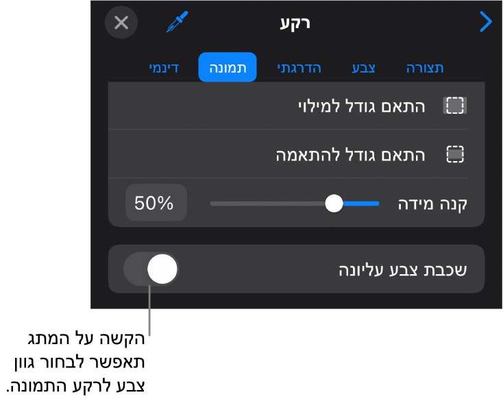 כלי הבקרה של ״רקע״, עם תמונה שמוגדרת כרקע של השקף. בחלק התחתון נמצא כלי הבקרה ״כיסוי בצבע״.