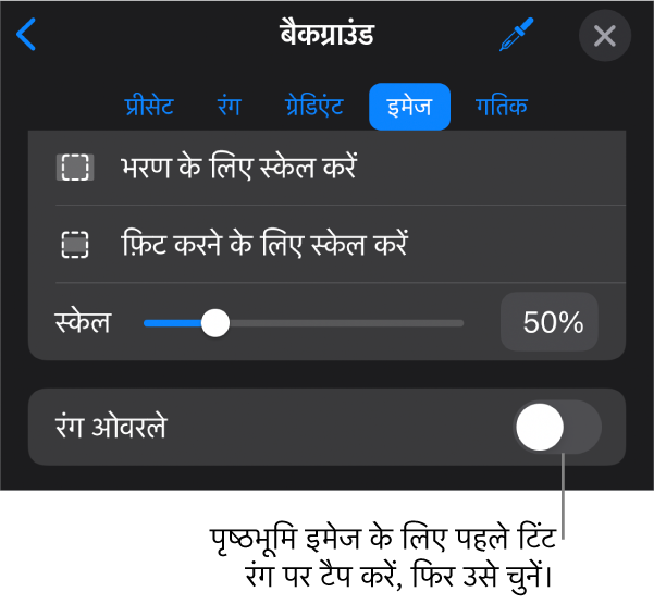 बैकग्राउंड नियंत्रण, जिनके सबसे निचले भाग में इमेज को स्लाइड बैकग्राउंड और रंग ओवरले नियंत्रण के रूप में सेट किया गया है।
