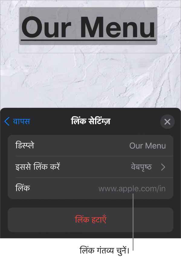 “प्रदर्शन” फ़ील्ड, “इससे लिंक करें” (चयनित सेट) और “लिंक” फ़ील्ड से लिंक सेटिंग्ज़ नियंत्रण करते हैं। “लिंक हटाएँ” बटन नियंत्रण के सबसे नीचे स्थित होता है।