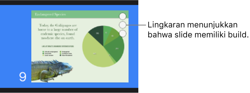 Slide dengan tiga lingkaran di pojok kanan atas menunjukkan bahwa slide memiliki build.