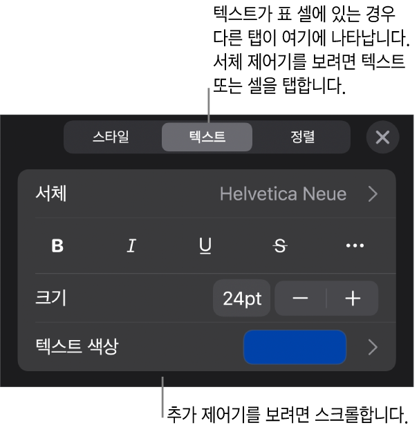 포맷 메뉴에 있는 단락, 문자 스타일, 서체, 크기 및 색상을 설정할 수 있는 텍스트 제어기.