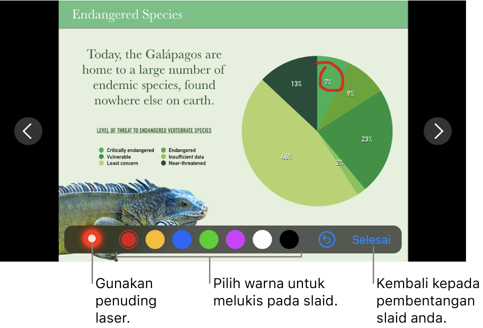 Mod ilustrasi slaid dalam slaid yang menunjukkan penuding laser dan kawalan pilihan warna.