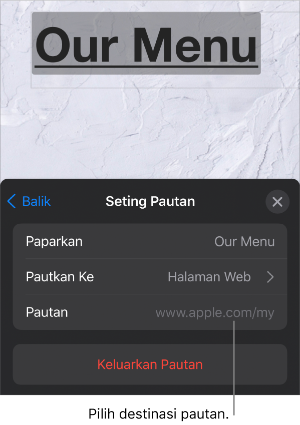 Kawalan Seting Pautan dengan medan untuk Paparan, Pautkan Ke (Halaman Web dipilih) dan Pautan. Butang Keluarkan Pautan berada di bahagian bawah.