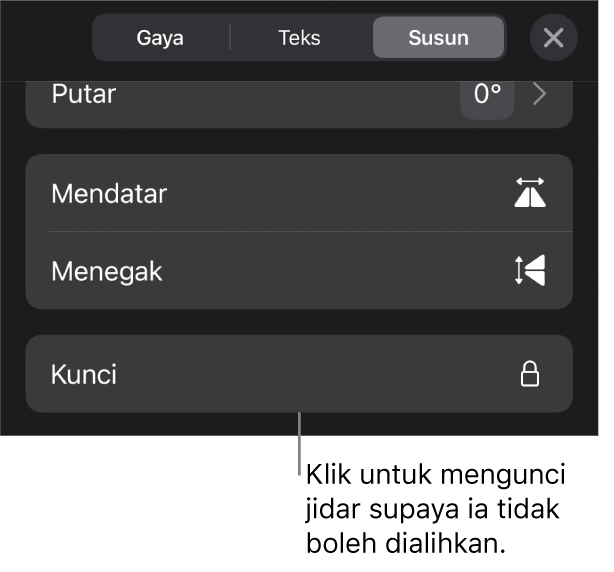 Kawalan Susun dalam menu Format dengan butang Kunci aktif.