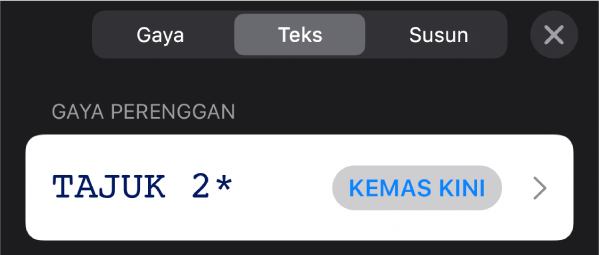 Gaya perenggan dengan asterisk di sebelahnya dan butang Kemas Kini di sebelah kanan.