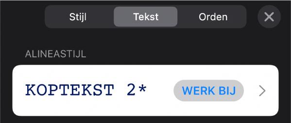 Een alineastijl met een sterretje ernaast en rechts de knop 'Werk bij'.