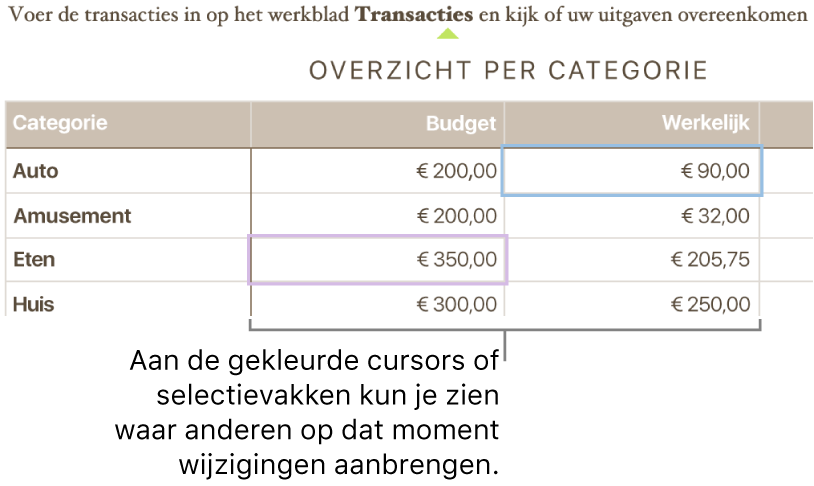 Cursors of selecties in verschillende kleuren geven aan waar anderen wijzigingen aanbrengen.