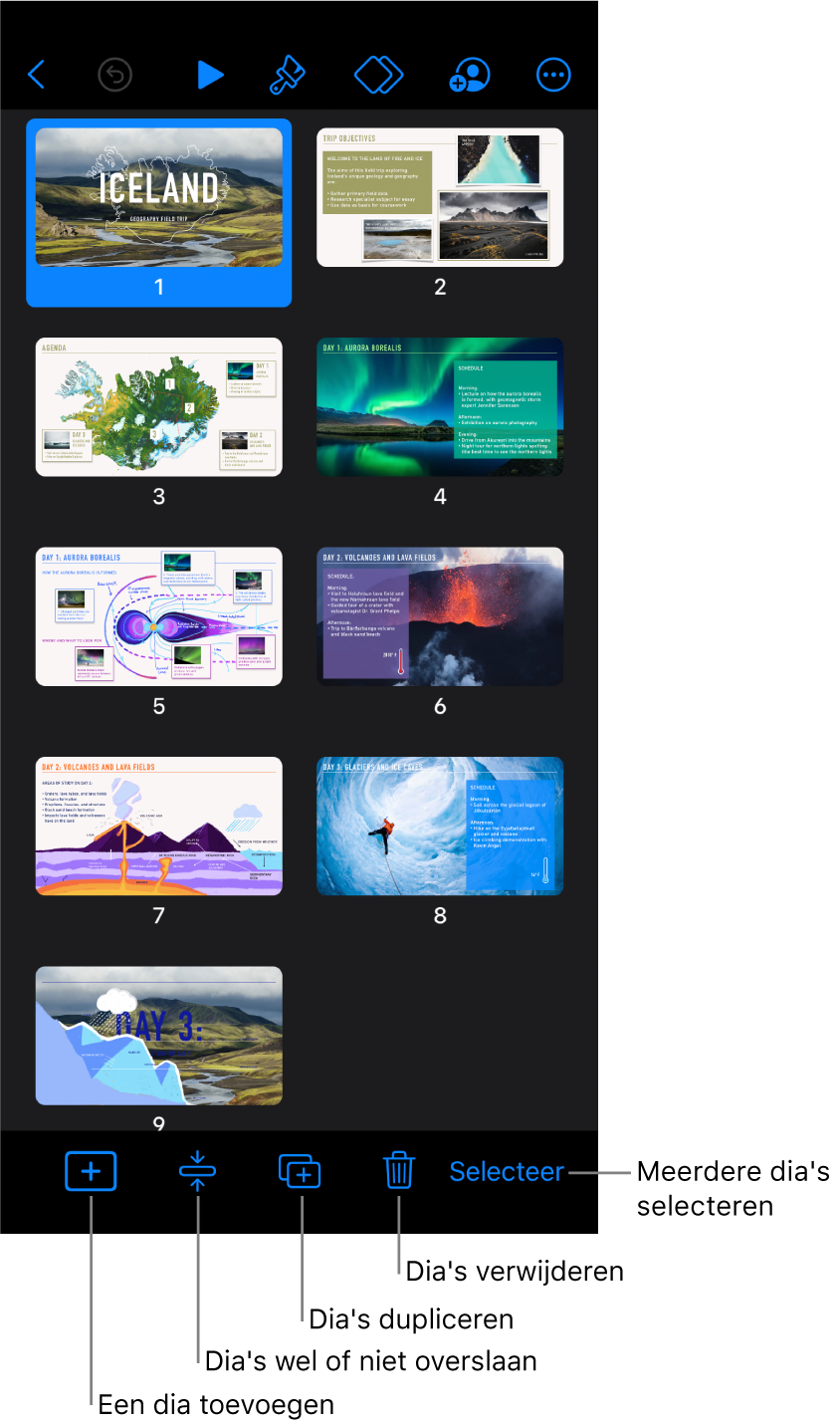Lichttafelweergave met onder in het scherm knoppen voor het toevoegen, overslaan, dupliceren en verwijderen van dia's en voor het selecteren van meerdere dia's.