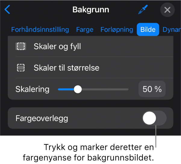 Bakgrunn-kontroller med et bilde angitt som lysbildebakgrunn og Fargeoverlegg-kontrollen nederst.