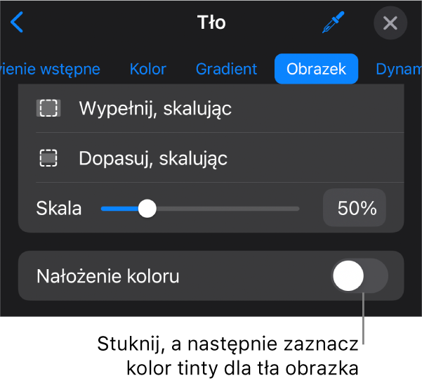 Narzędzia tła z obrazkiem ustawionym jako tło slajdu oraz na dole narzędzie Nałożenie koloru.