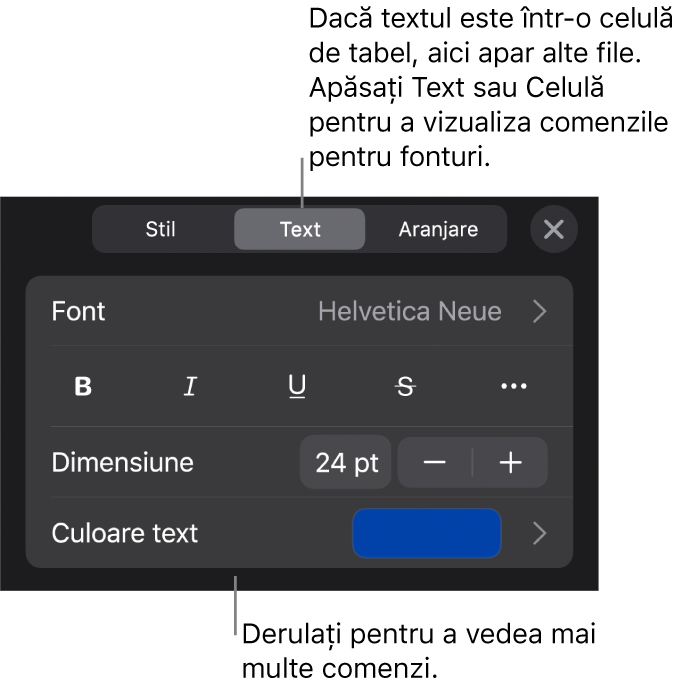 Comenzi text din meniul Format pentru configurarea paragrafelor și a stilurilor, fonturilor, dimensiunii și culorii caracterelor.