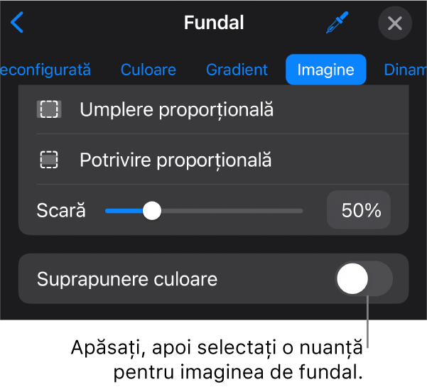 Comenzile Fundal cu o imagine configurată drept fundal al diapozitivului și comanda Suprapunere culoare în partea de jos.