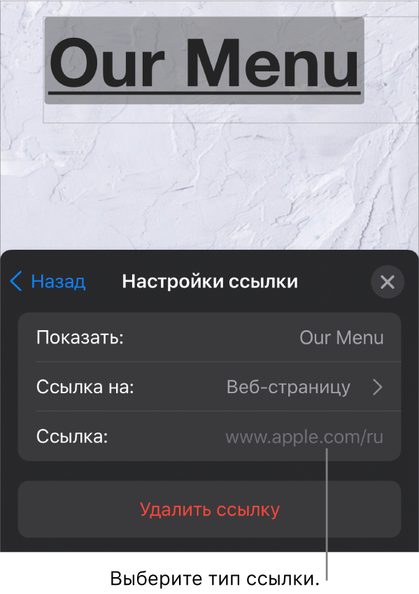 Элементы управления «Настройки ссылки» с полями «Показывать», «Ссылка на» (выбран вариант «Веб-страницу») и «Ссылка». Внизу находится кнопка «Удалить ссылку».