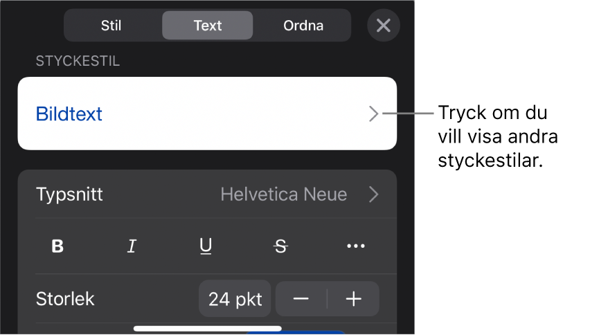 Menyn Format med textreglage för att ställa in stycke- och teckenstilar, typsnitt, storlek och färg.