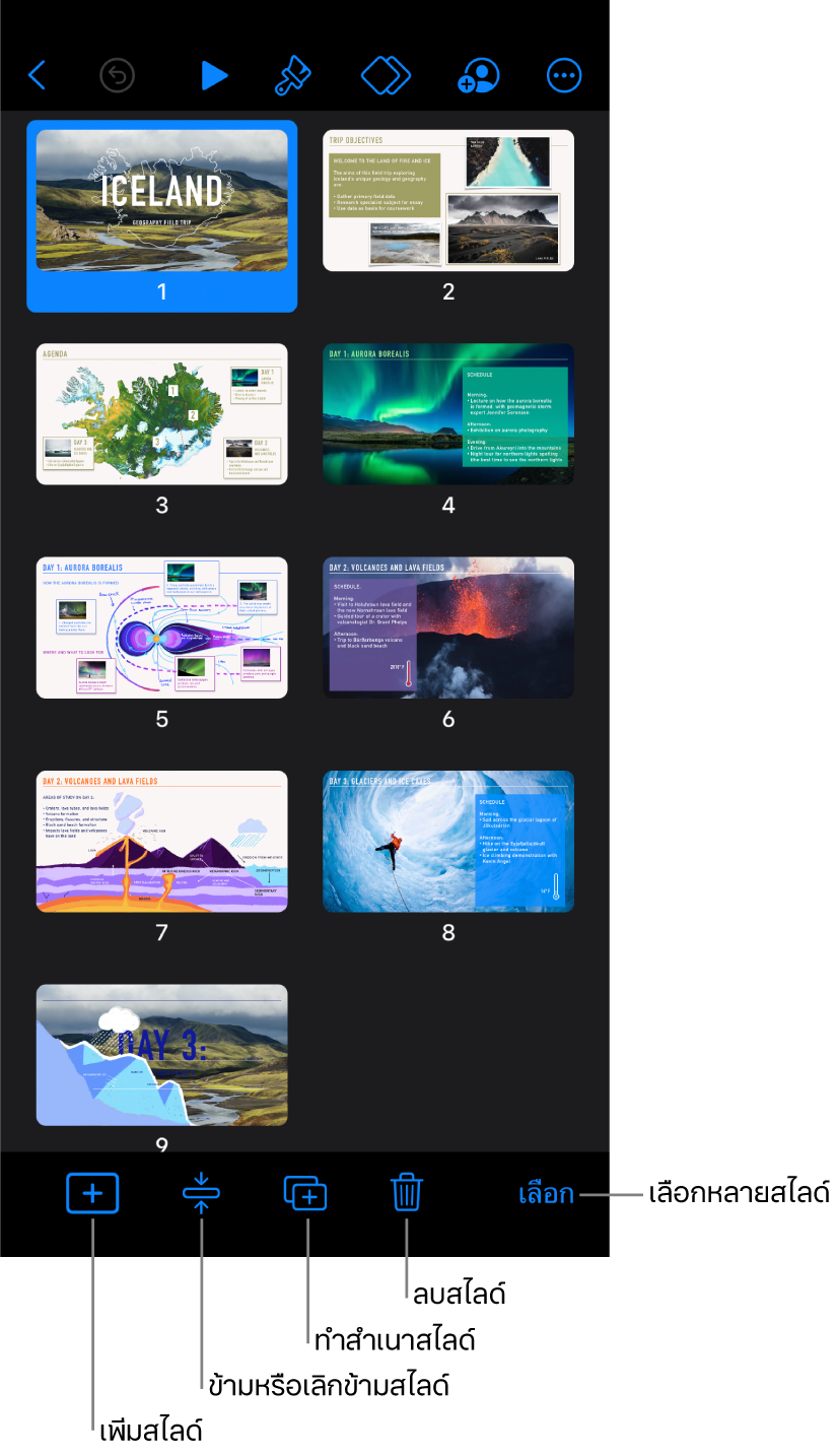 มุมมองตารางย่อ ที่มีปุ่มต่างๆ อยู่ด้านล่างสุดของหน้าจอสำหรับเพิ่ม ข้าม ทำสำเนา และลบสไลด์ รวมทั้งสำหรับเลือกหลายสไลด์