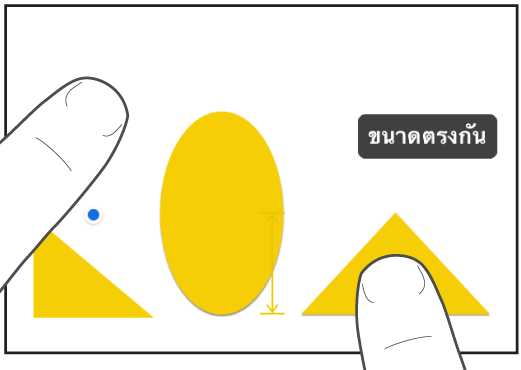 หนึ่งนิ้วอยู่เหนือรูปร่างและอีกนิ้วค้างไว้ที่วัตถุที่มี ขนาดตรงกัน บนหน้าจอ