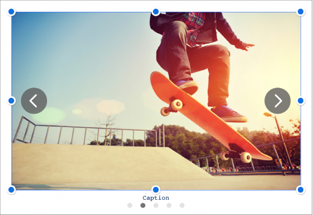 วัตถุแกลเลอรี่ภาพที่มีห้าภาพ โดยมีคำบรรยายภาพอยู่ด้านล่างวัตถุและลูกศรนำทางอยู่ด้านซ้ายและด้านขวา
