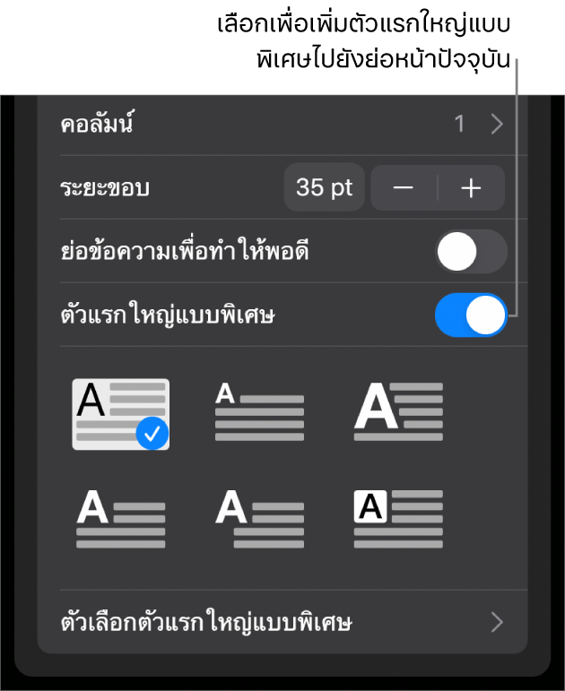 ตัวควบคุมตัวแรกใหญ่แบบพิเศษที่อยู่ด้านล่างสุดของเมนูข้อความ