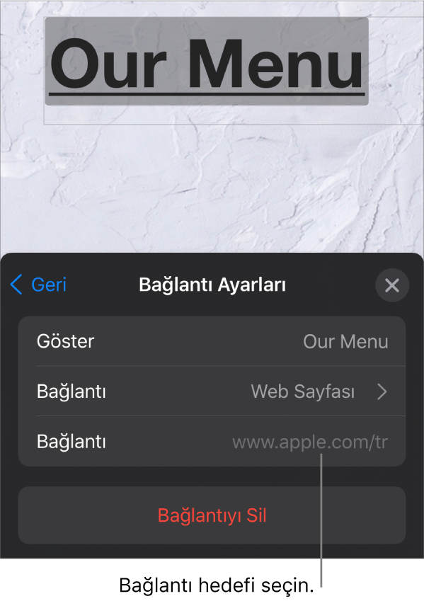 Göster, Bağlantı (Web Sayfası seçilidir) ve Bağlantı alanları ile Bağlantı Ayarları denetimleri. Bağlantıyı Kaldır düğmesi en alttadır.