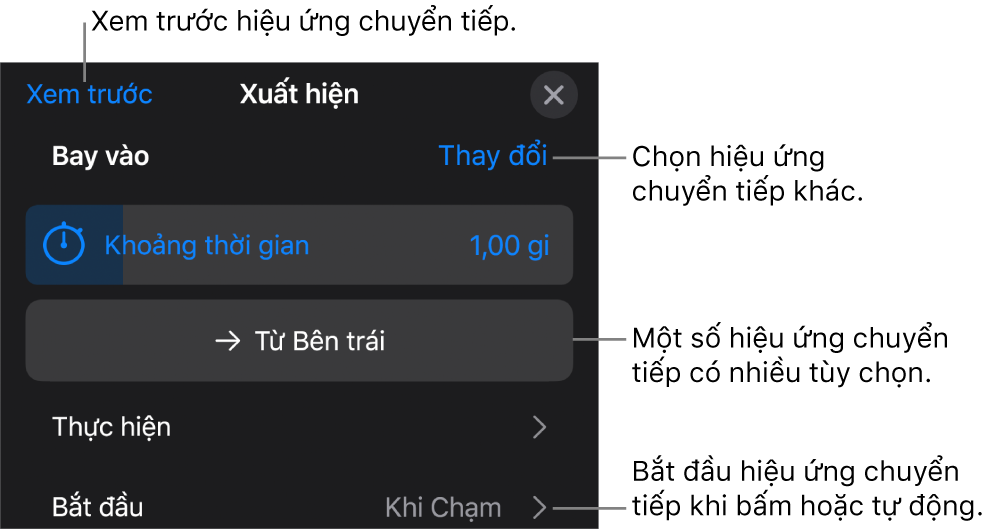 Các điều khiển trong khung Tùy chọn để sửa đổi hiệu ứng chuyển tiếp.