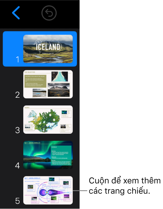 Trình điều hướng trang chiếu.